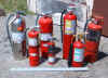 extinggroup.jpg (96875 bytes)